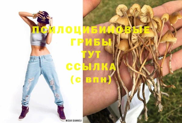 2c-b Кинешма
